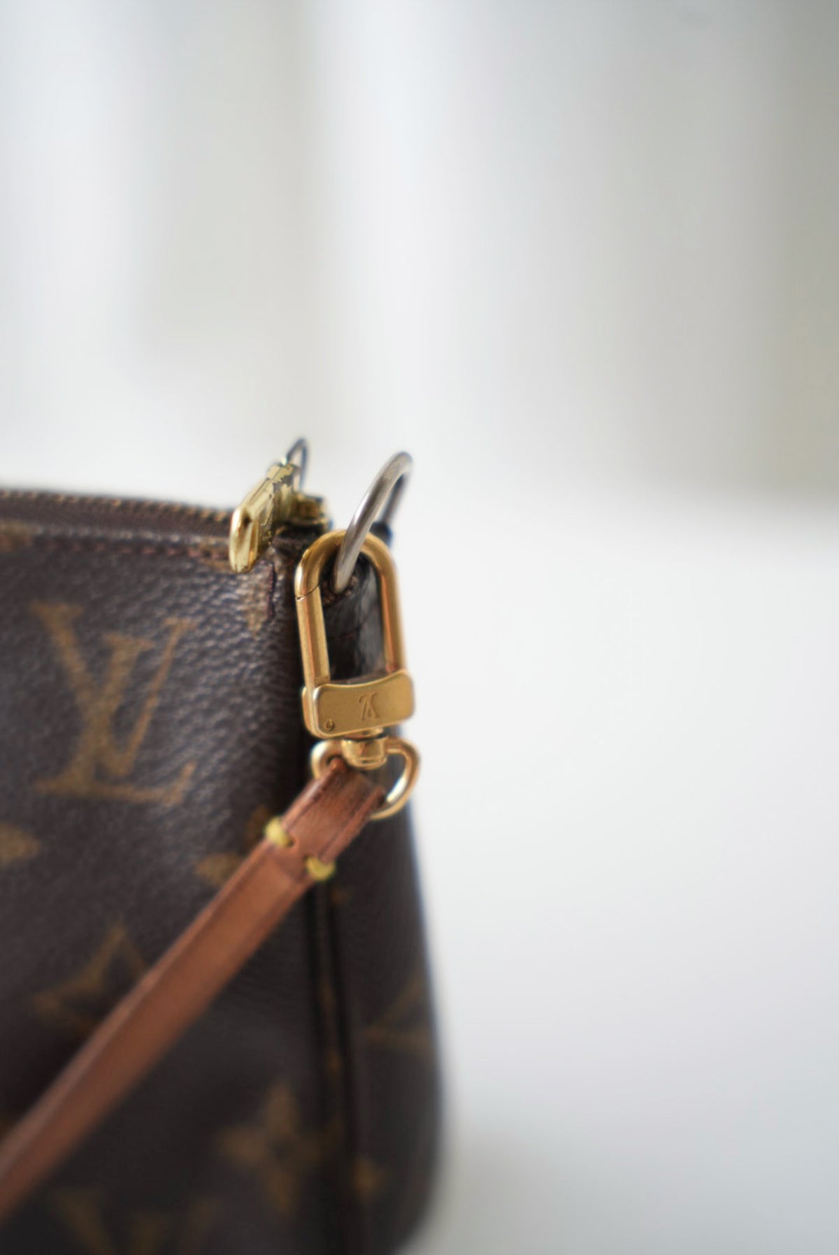 Louis Vuitton Pochette Accessoires